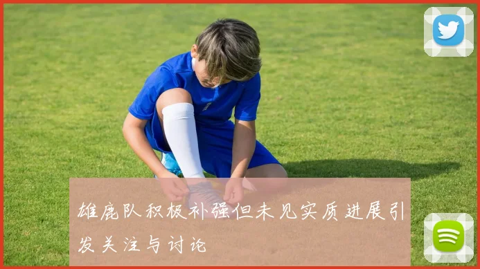 雄鹿队积极补强但未见实质进展引发关注与讨论