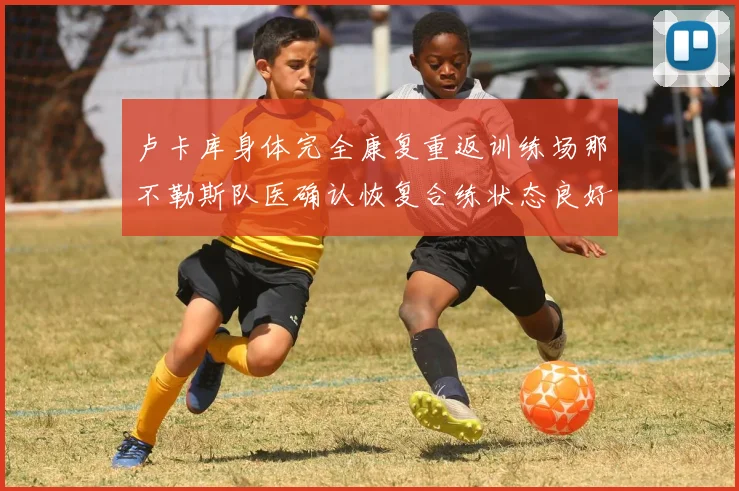 卢卡库身体完全康复重返训练场那不勒斯队医确认恢复合练状态良好